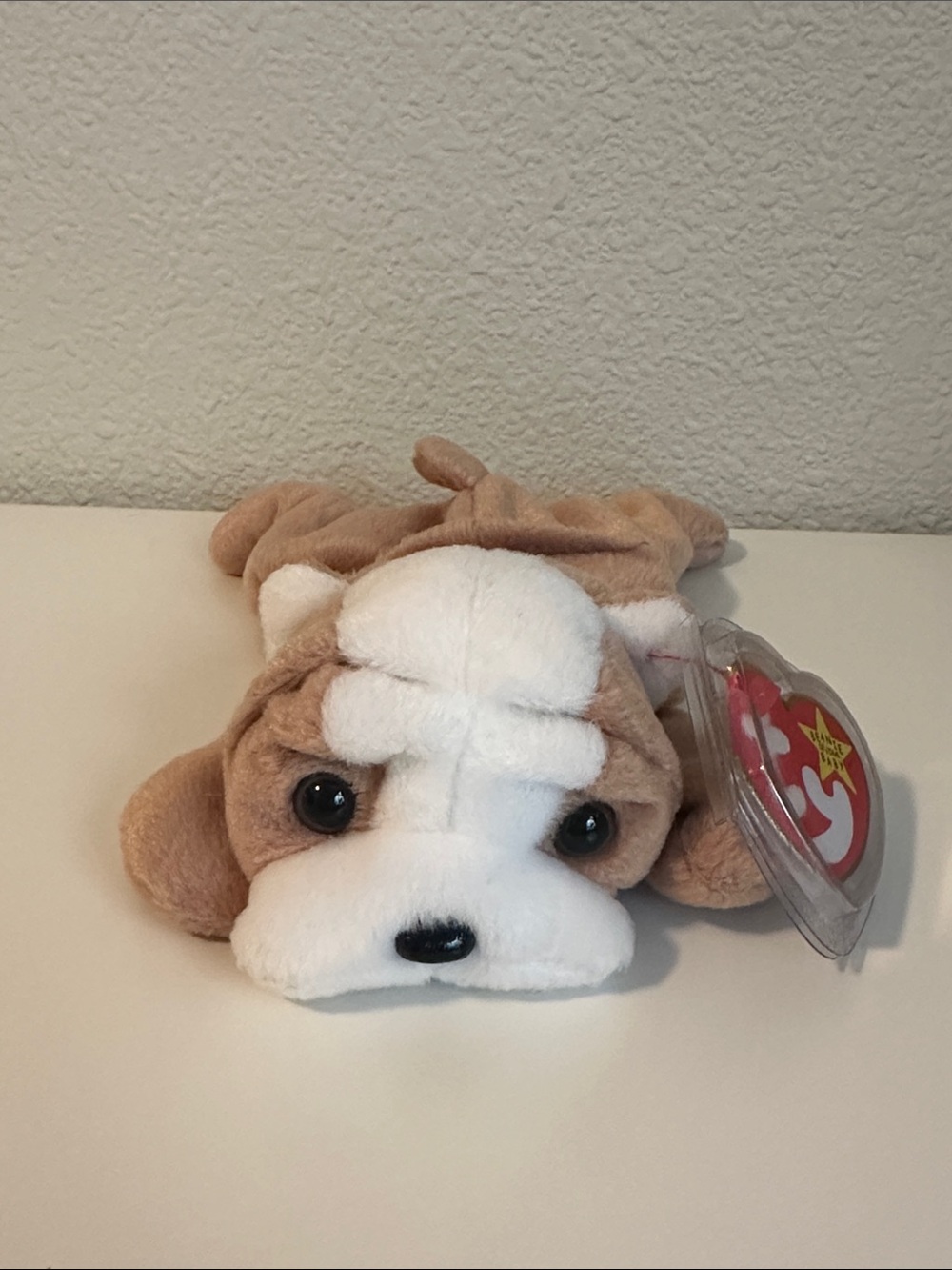 Wrinkles 1996 Beanie Baby